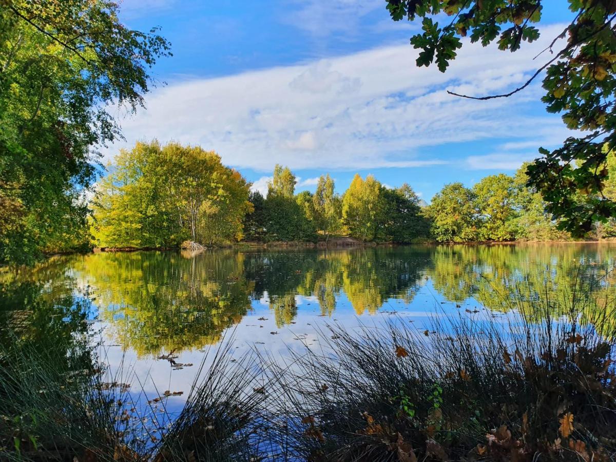 Ferienwohnung Am See Dillich - Eigener Garten - Ruhige Lage - Natur Vor Der Haustuer Borken  ภายนอก รูปภาพ