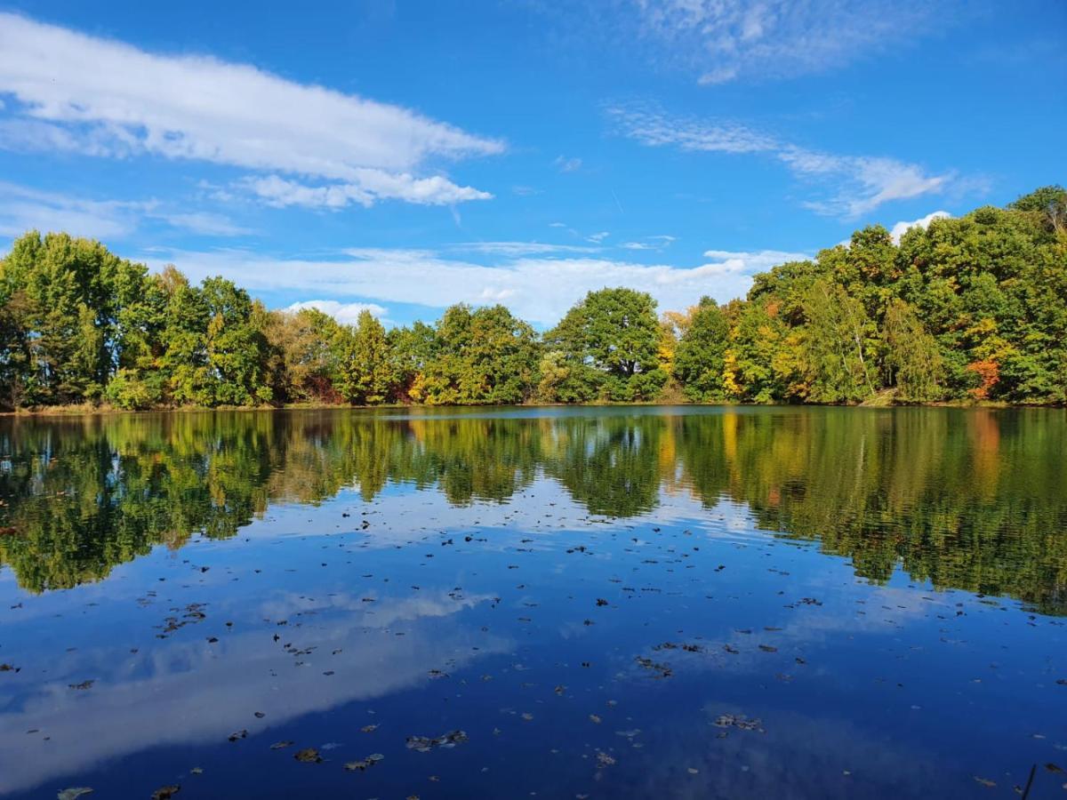 Ferienwohnung Am See Dillich - Eigener Garten - Ruhige Lage - Natur Vor Der Haustuer Borken  ภายนอก รูปภาพ