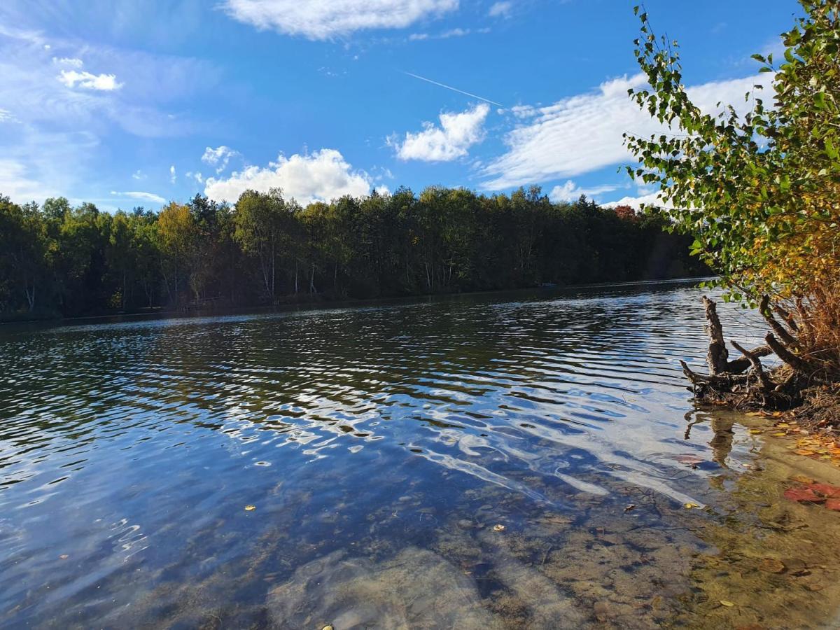 Ferienwohnung Am See Dillich - Eigener Garten - Ruhige Lage - Natur Vor Der Haustuer Borken  ภายนอก รูปภาพ