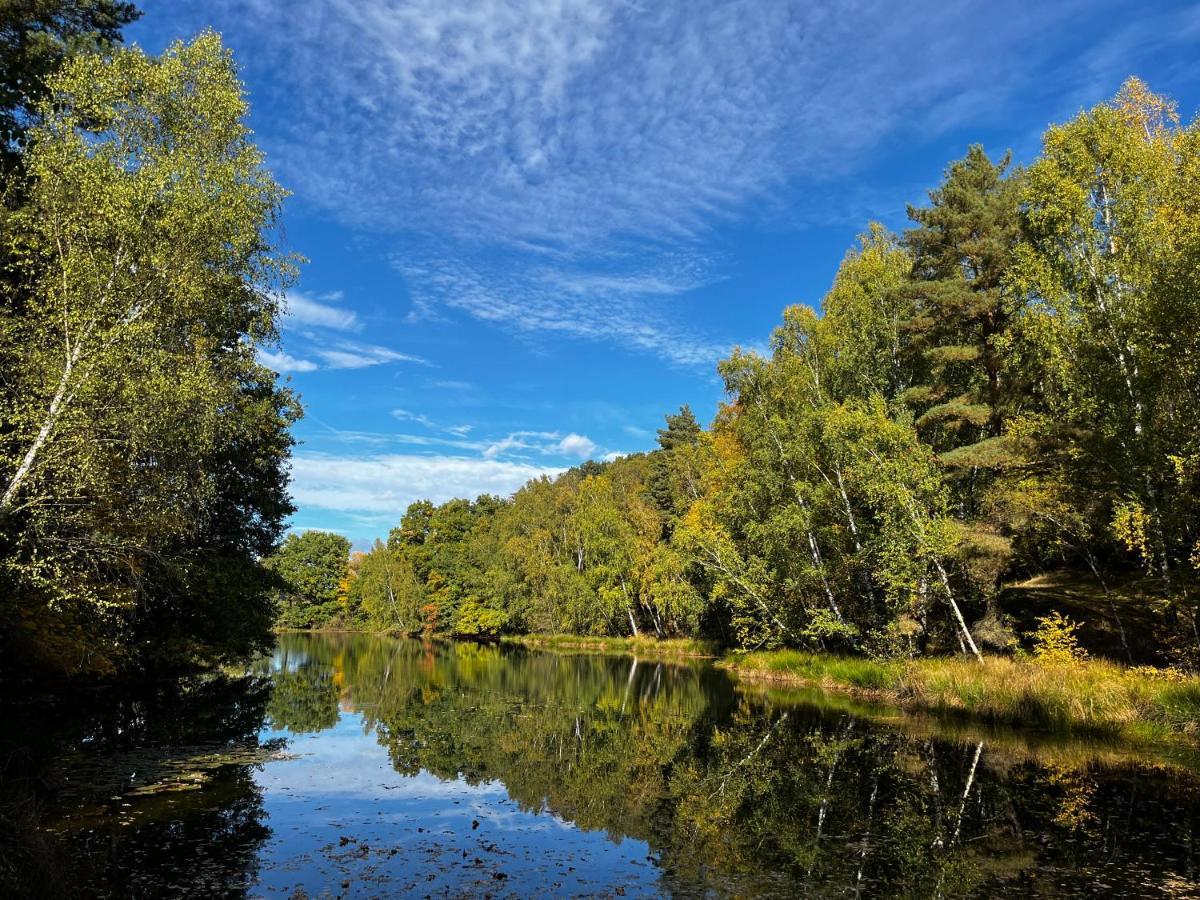 Ferienwohnung Am See Dillich - Eigener Garten - Ruhige Lage - Natur Vor Der Haustuer Borken  ภายนอก รูปภาพ