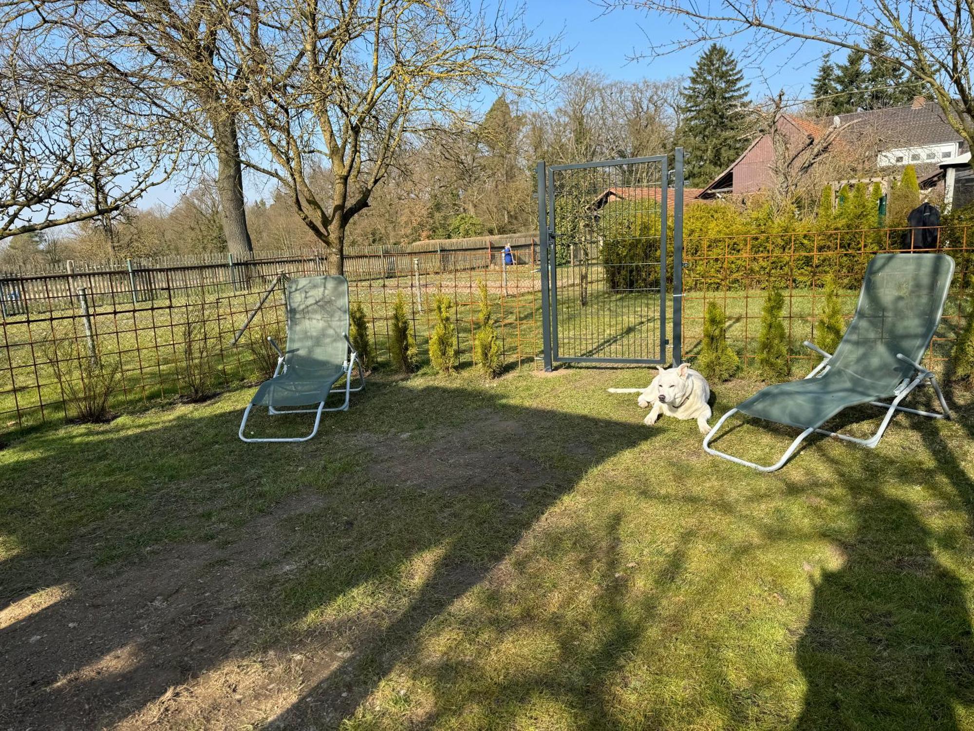 Ferienwohnung Am See Dillich - Eigener Garten - Ruhige Lage - Natur Vor Der Haustuer Borken  ภายนอก รูปภาพ